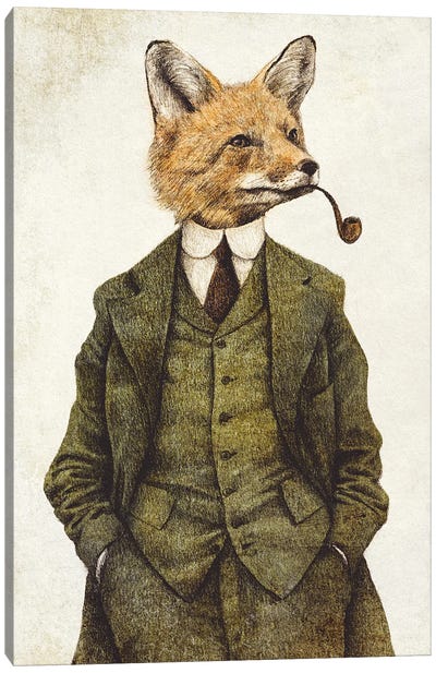 The Fox Canvas Art Print - Mike Koubou