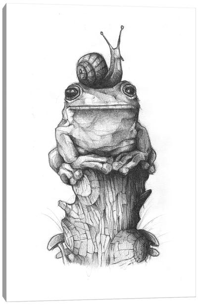 Frog And Snail II Canvas Art Print - Vintage Décor