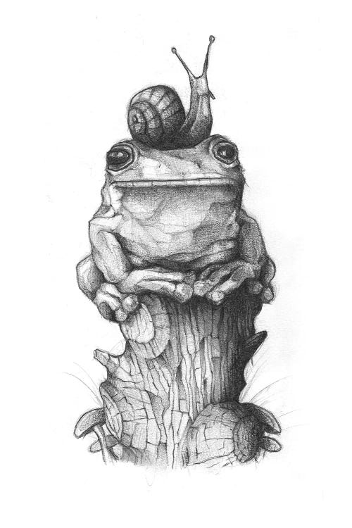 Frog And Snail II