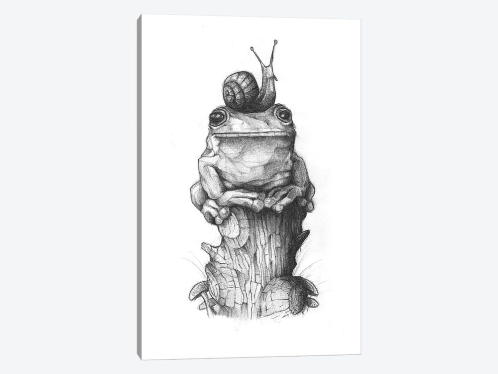 Frog And Snail II by Mike Koubou 1-piece Art Print