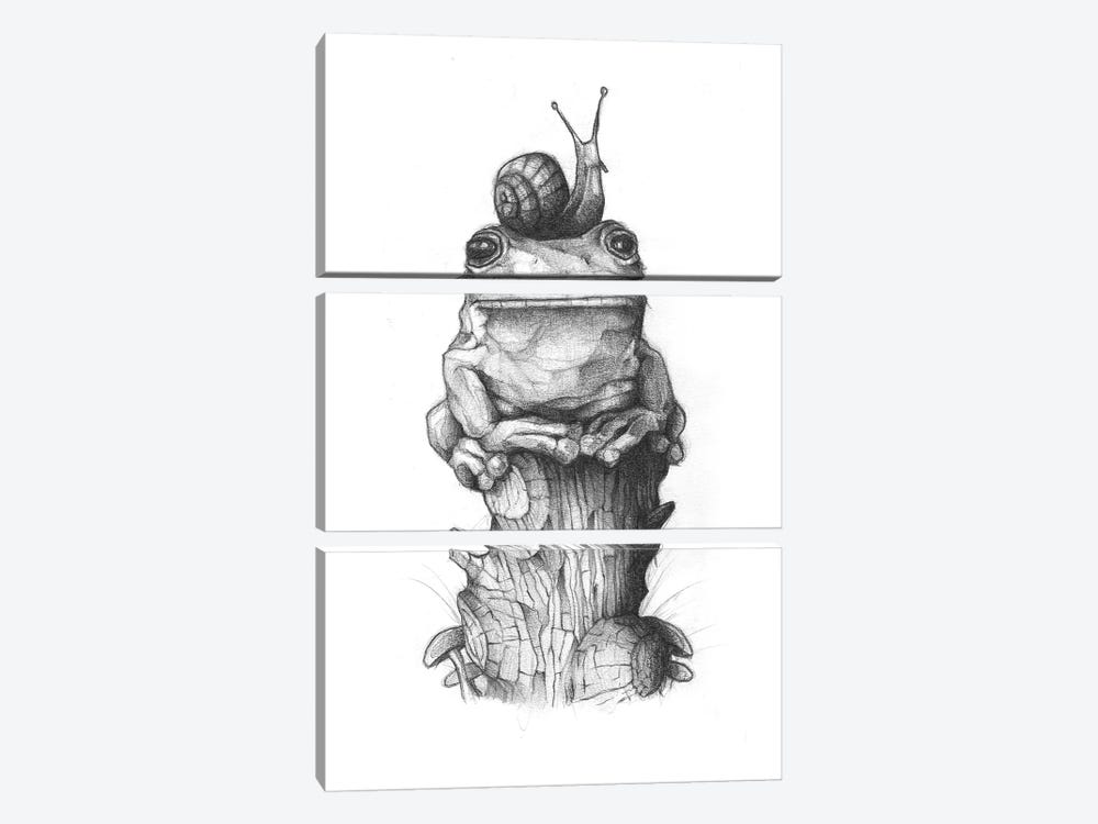 Frog And Snail II by Mike Koubou 3-piece Canvas Print