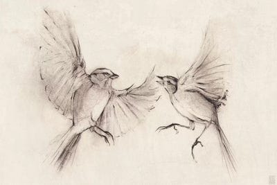 Birds by Mike Koubou canvas print