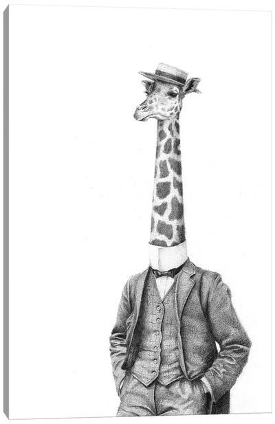 High Class Gentleman Canvas Art Print - Giraffe Art