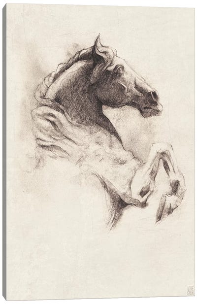 Horse I Canvas Art Print - Mike Koubou