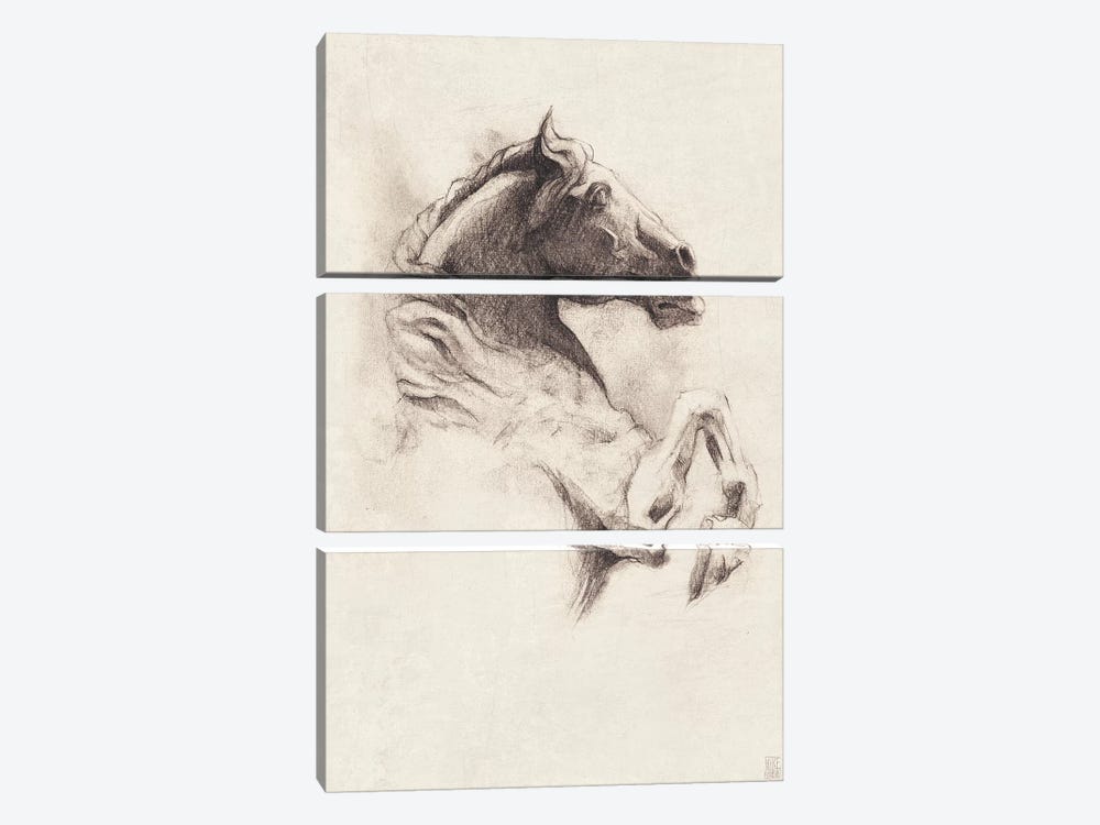 Horse I by Mike Koubou 3-piece Art Print