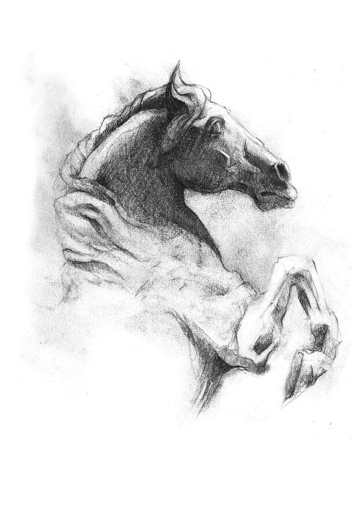 Horse IV by Mike Koubou wall art