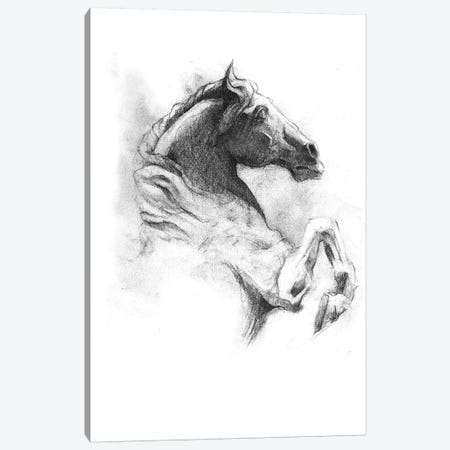 Horse IV Canvas Print #MKB34} by Mike Koubou Art Print