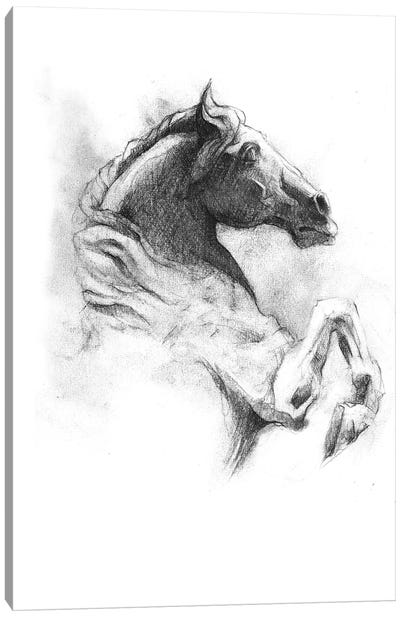 Horse IV Canvas Art Print - Mike Koubou
