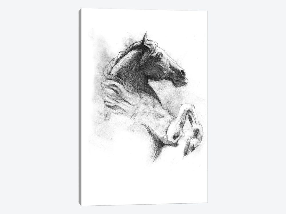 Horse IV by Mike Koubou 1-piece Canvas Artwork