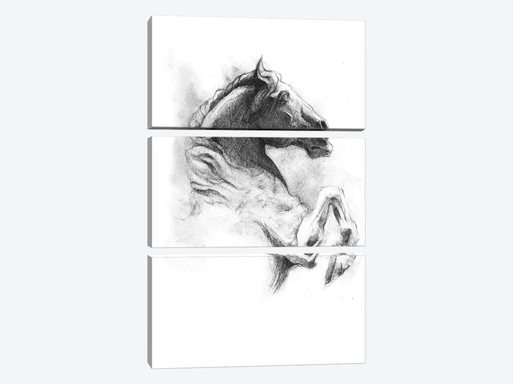 Horse IV by Mike Koubou 3-piece Canvas Art