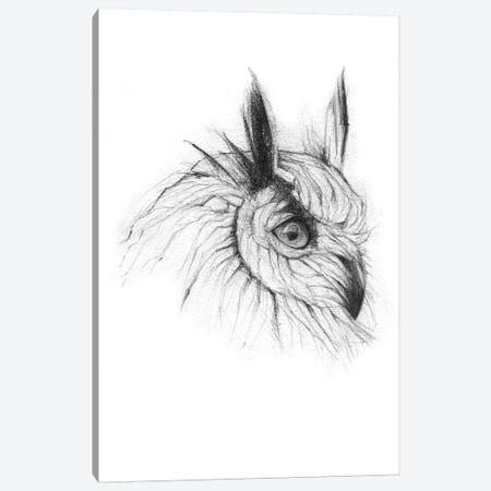 Owl III Canvas Print #MKB46} by Mike Koubou Canvas Artwork