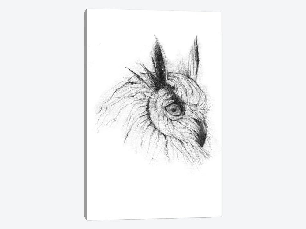 Owl III by Mike Koubou 1-piece Canvas Art Print