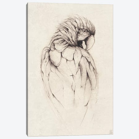 Parrot I Canvas Print #MKB48} by Mike Koubou Art Print