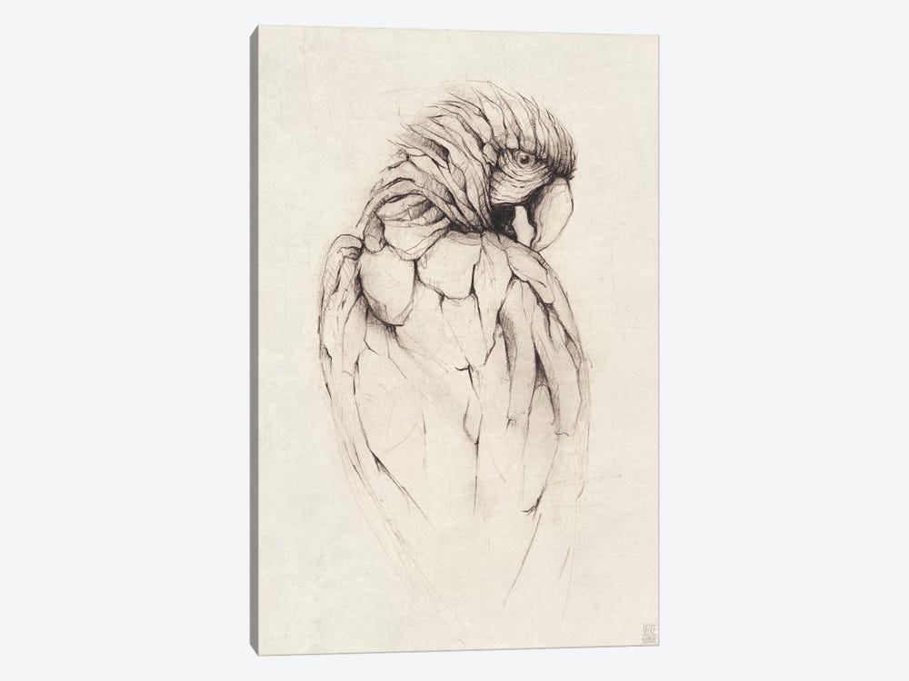 Parrot I by Mike Koubou 1-piece Art Print
