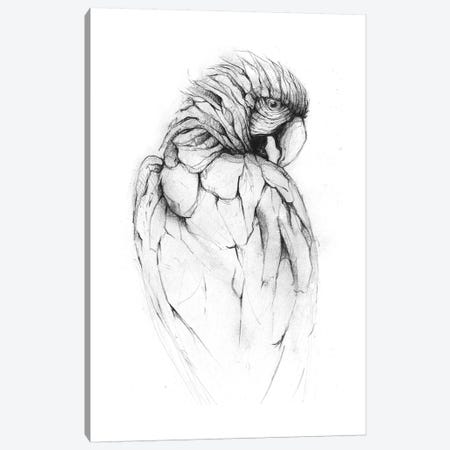Parrot II Canvas Print #MKB49} by Mike Koubou Canvas Print