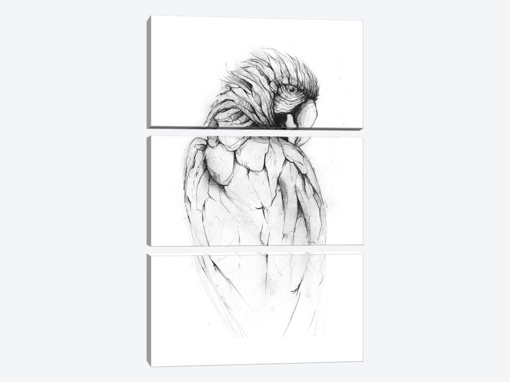 Parrot II by Mike Koubou 3-piece Canvas Artwork