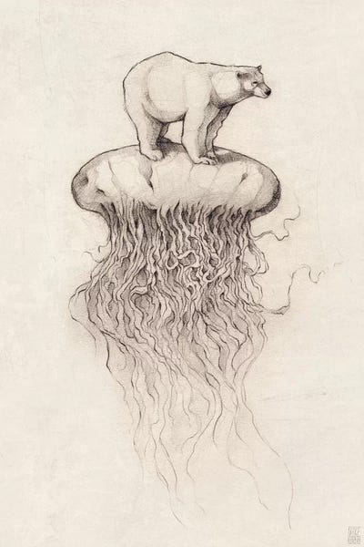 Book illustrations: Polar Bear And Jellyfish I by Mike Koubou