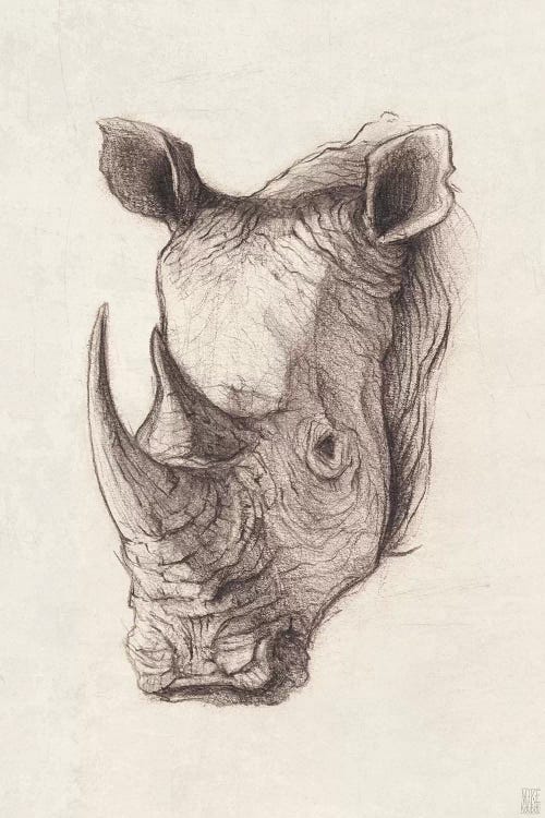 Rhinoceros I