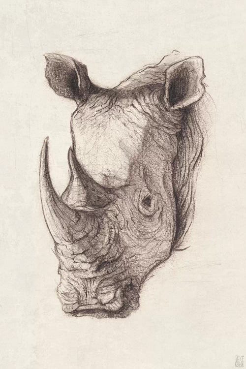 Rhinoceros I by Mike Koubou wall art