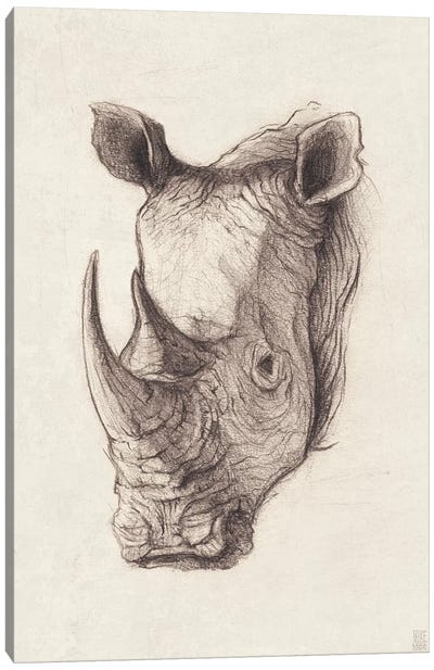 Rhinoceros I Canvas Art Print - Mike Koubou