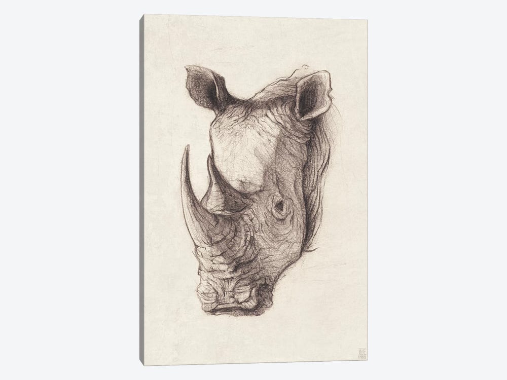 Rhinoceros I by Mike Koubou 1-piece Canvas Art Print