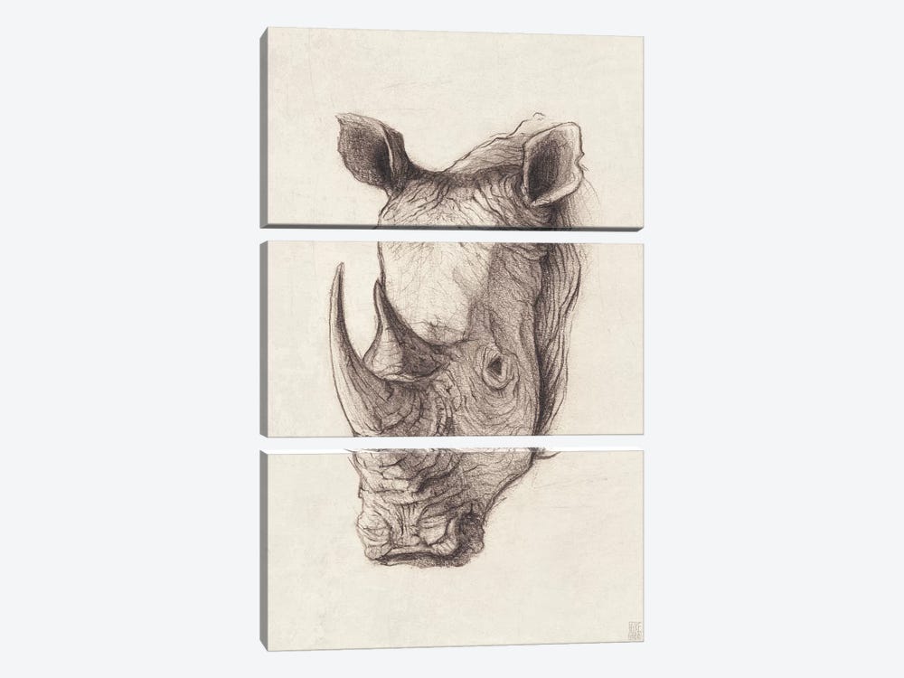 Rhinoceros I by Mike Koubou 3-piece Art Print