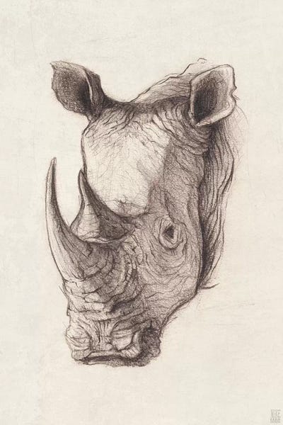 Rhinoceroses: Rhinoceros I by Mike Koubou