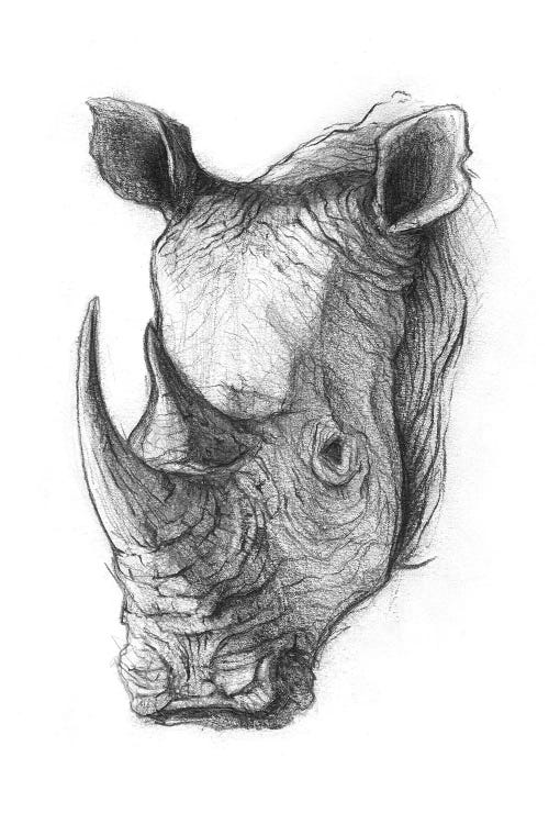 Rhinoceros V by Mike Koubou wall art