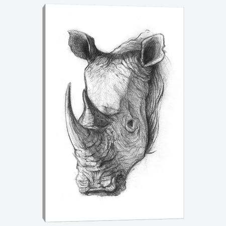 Rhinoceros V Canvas Print #MKB56} by Mike Koubou Canvas Print