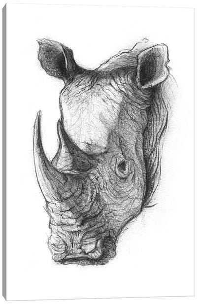 Rhinoceros V Canvas Art Print - Mike Koubou