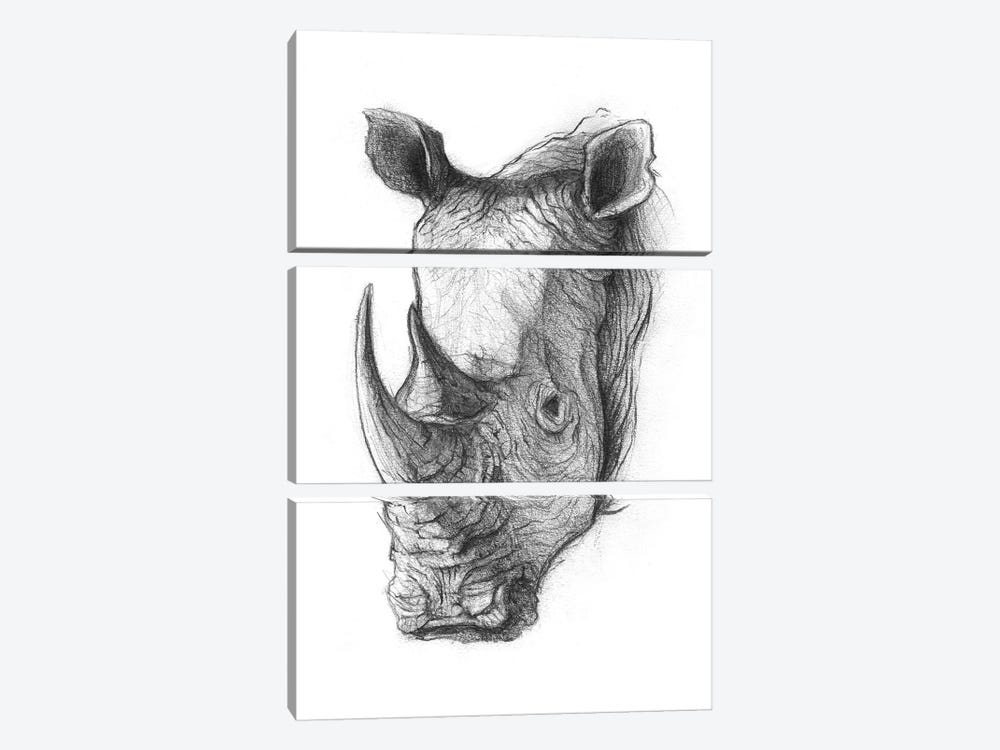 Rhinoceros V by Mike Koubou 3-piece Canvas Artwork