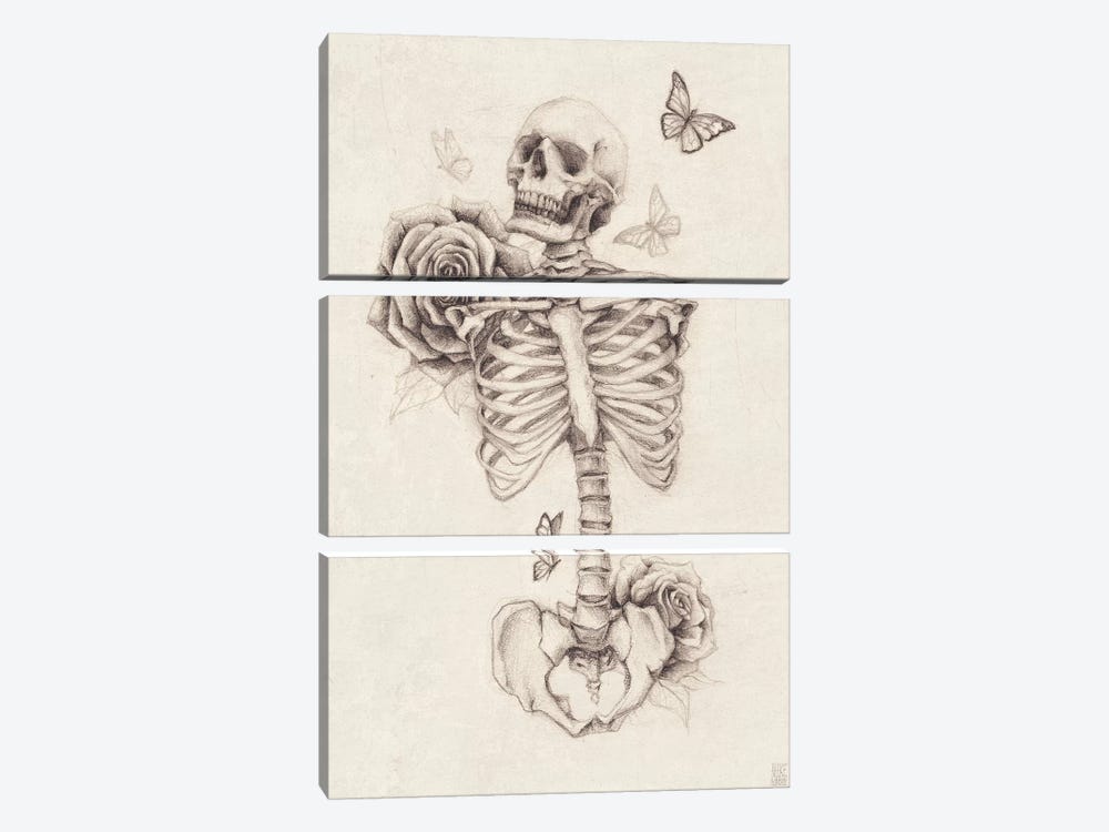 Skeleton And Roses I by Mike Koubou 3-piece Art Print
