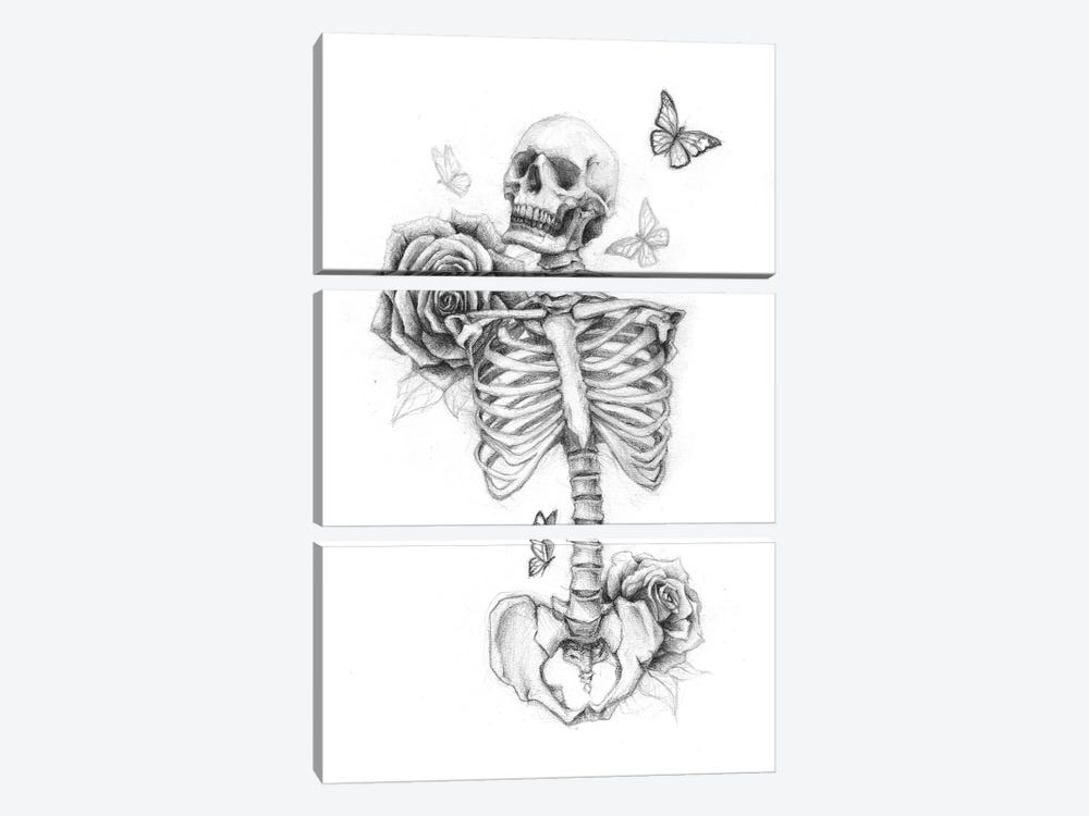 Skeleton And Roses II by Mike Koubou 3-piece Canvas Artwork