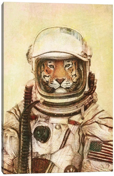 Apollo 18 II Canvas Art Print - Tiger Art