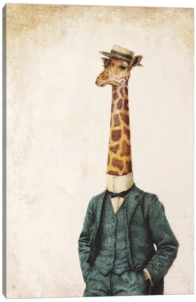 High Class Gentleman II Canvas Art Print - Giraffe Art