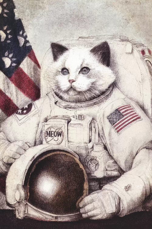 Meow Out Of Space by Mike Koubou wall art