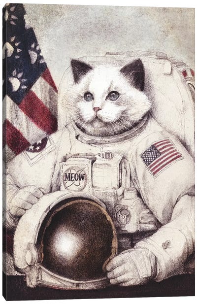 Meow Out Of Space Canvas Art Print - Mike Koubou