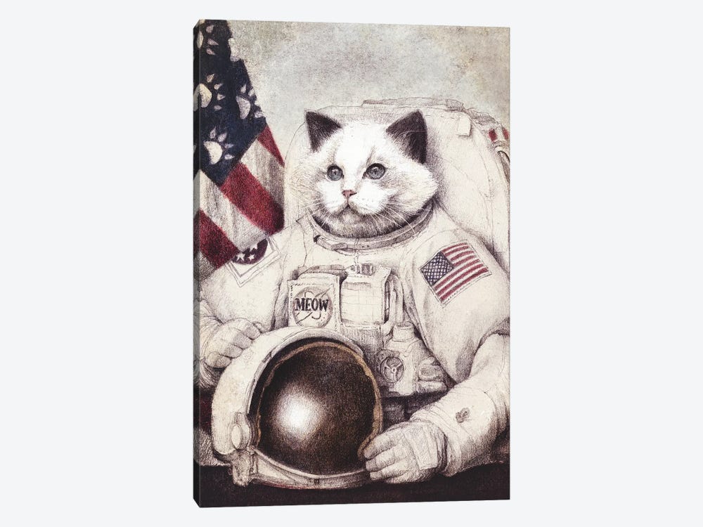 Meow Out Of Space by Mike Koubou 1-piece Canvas Print