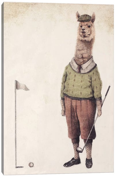 Alpaca Golf Club Canvas Art Print - Golf Art