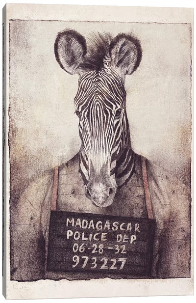 Madagascar Mugshot Canvas Art Print - Zebra Art