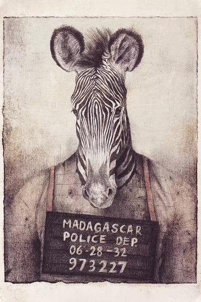 Zebras: Madagascar Mugshot by Mike Koubou
