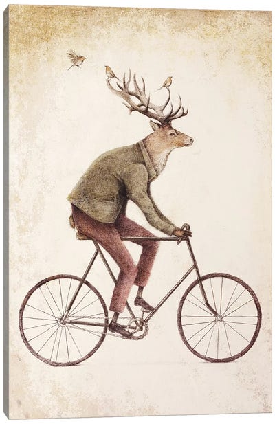Even A Gentleman Rides II Canvas Art Print - Bicycle Art