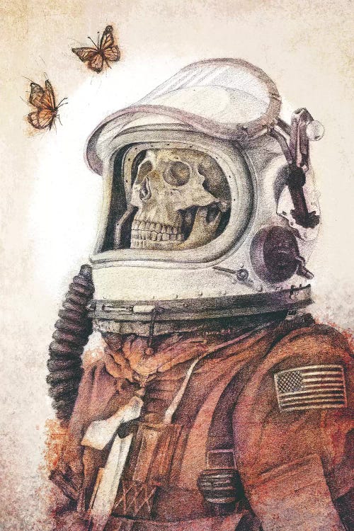 Butterflies In Space by Mike Koubou wall art