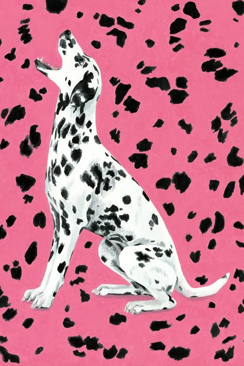 Dalmatian Dog On Pink Background