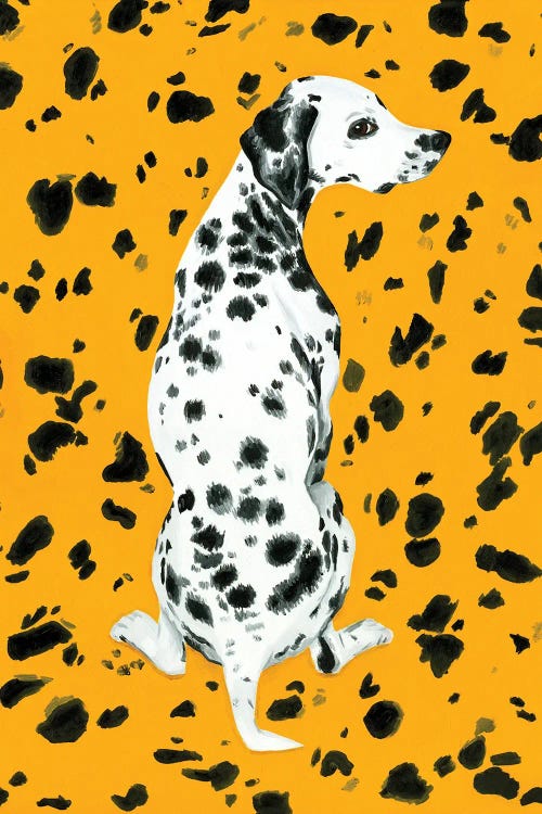 Dalmatian Dog On Yellow Background