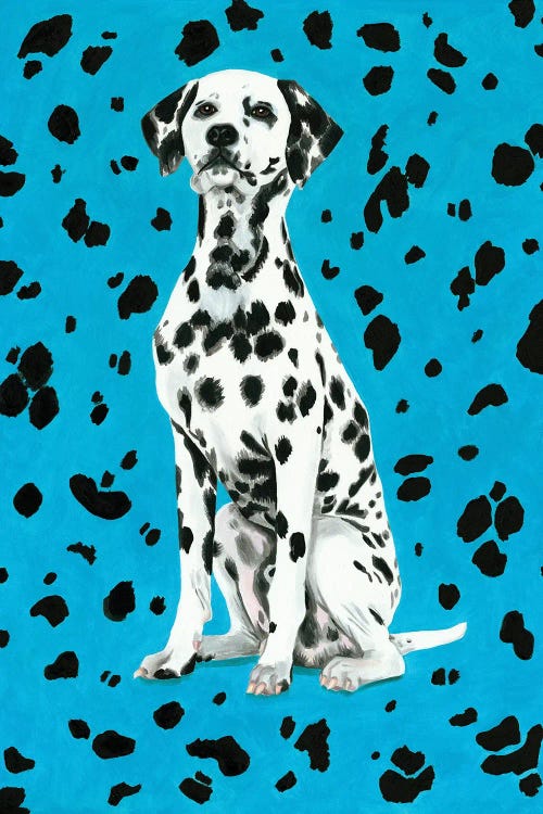 Dalmatian Dog On Blue Background