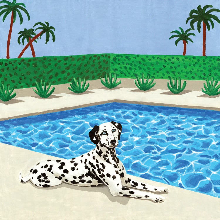 Chilling Dalmatian