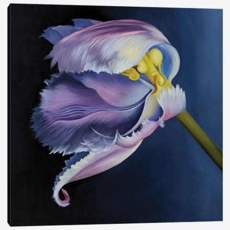 Pink Waving Tulip Canvas Print #MKD2} by Mira Kamada Art Print