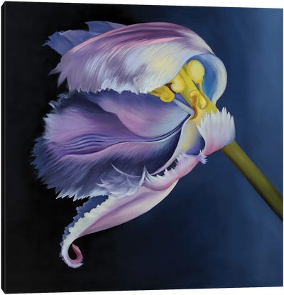 Pink Waving Tulip Canvas Art Print - Similar to Georgia O'Keeffe