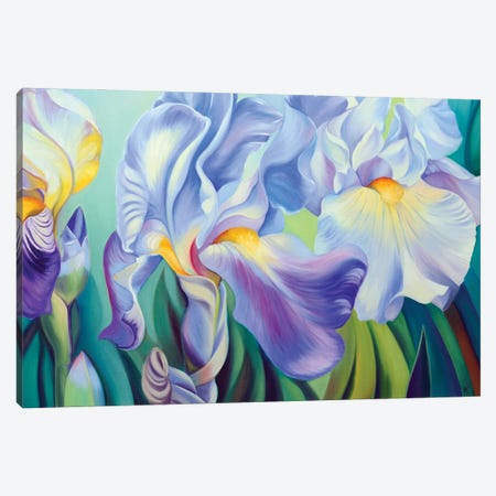 Three Irises Canvas Print #MKD5} by Mira Kamada Canvas Wall Art